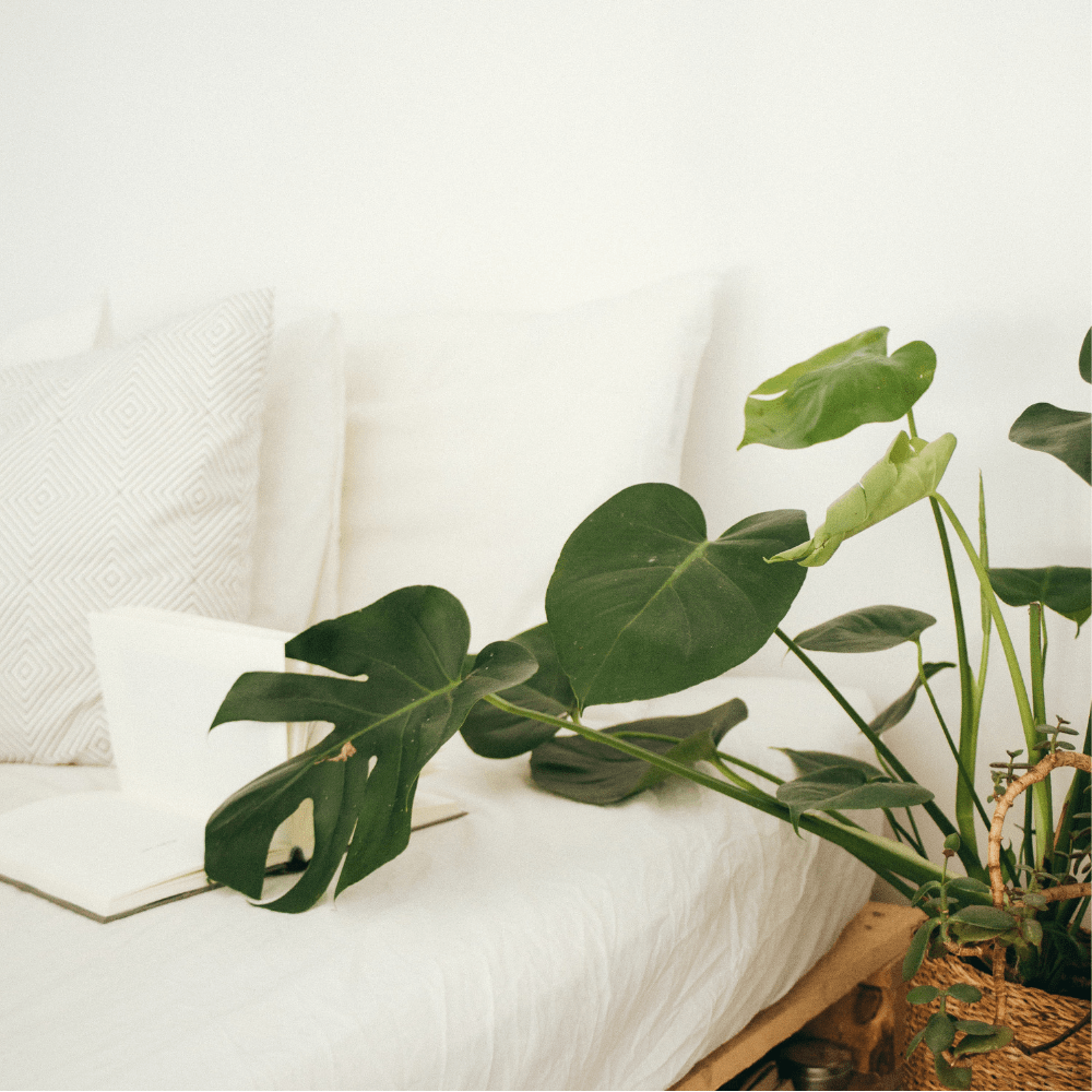 14+ Best Decluttering Books That Will Change Your Life (2021)